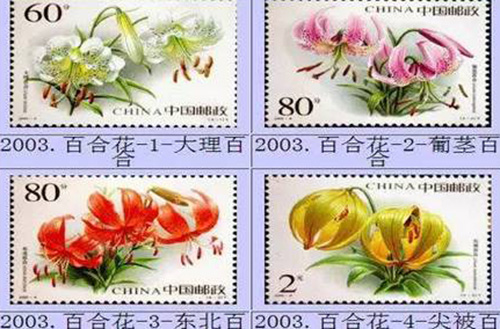图10