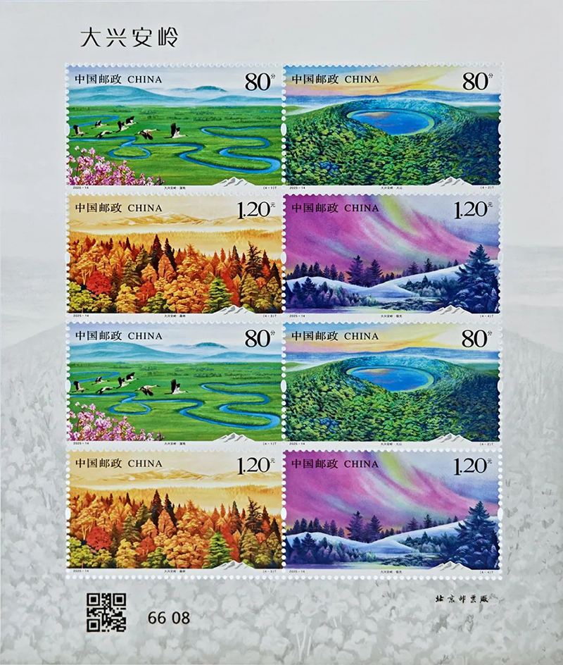 图5